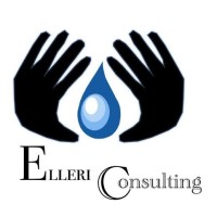 Elleri Consulting logo, Elleri Consulting contact details