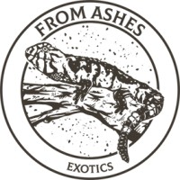 From Ashes Exotics logo, From Ashes Exotics contact details