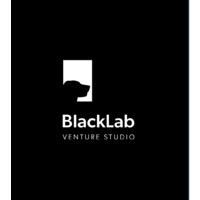 BlackLab Venture Studio logo, BlackLab Venture Studio contact details