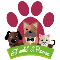 Gli Amici di Romeo di Marcia Valentina logo, Gli Amici di Romeo di Marcia Valentina contact details