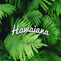 Hawaiana Design S.L. logo, Hawaiana Design S.L. contact details