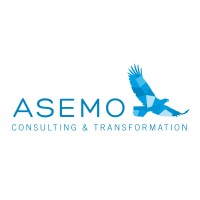 ASEMO CONSULTING logo, ASEMO CONSULTING contact details