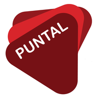 PUNTAL TÉCNICO, S.L. logo, PUNTAL TÉCNICO, S.L. contact details