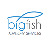 Bigfish Advisory logo, Bigfish Advisory contact details