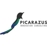 Picarazus Innovation Consulting logo, Picarazus Innovation Consulting contact details