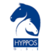 HYPPOS G S I SL logo, HYPPOS G S I SL contact details