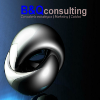 BvQ Consulting logo, BvQ Consulting contact details