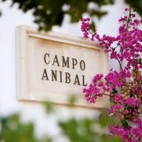 Campo Aníbal logo, Campo Aníbal contact details