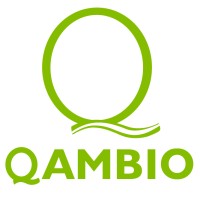 QAMBIO CONSULTING logo, QAMBIO CONSULTING contact details