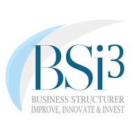 BUSINESS STRUCTURER I3 S.L. logo, BUSINESS STRUCTURER I3 S.L. contact details