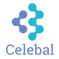 Celebal India Solutions Pvt. Ltd. logo, Celebal India Solutions Pvt. Ltd. contact details