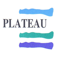 Plateau Eindhoven logo, Plateau Eindhoven contact details