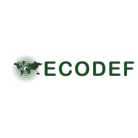 ECODEF logo, ECODEF contact details