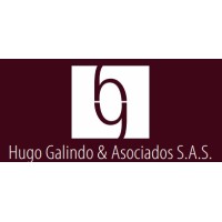 Hugo Galindo y Asociados logo, Hugo Galindo y Asociados contact details