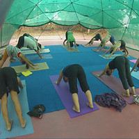 AcroYogaThai Community logo, AcroYogaThai Community contact details