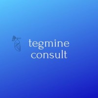 Tegmine Consult logo, Tegmine Consult contact details