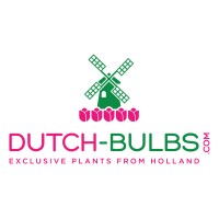 DUTCH-BULBS.COM logo, DUTCH-BULBS.COM contact details