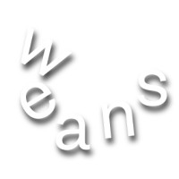 The Design Weans logo, The Design Weans contact details