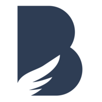 BrandEagle logo, BrandEagle contact details