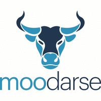 Moodarse Realty logo, Moodarse Realty contact details