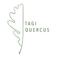 Tagi Quercus logo, Tagi Quercus contact details