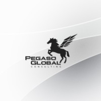 Pegaso Global Consulting logo, Pegaso Global Consulting contact details