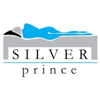 Silver Prince srl logo, Silver Prince srl contact details