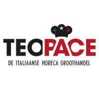 Teo Pace BV logo, Teo Pace BV contact details