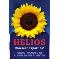 Helios Bloemenexport BV logo, Helios Bloemenexport BV contact details