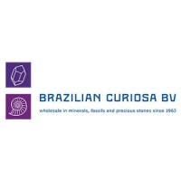 Brazilian Curiosa BV logo, Brazilian Curiosa BV contact details