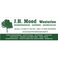 J.H. Moed Boomkwekerijen-Nurseries-Baumschulen logo, J.H. Moed Boomkwekerijen-Nurseries-Baumschulen contact details