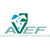 AVEF logo, AVEF contact details