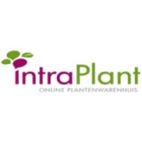 V.o.f. Intraplant logo, V.o.f. Intraplant contact details