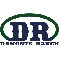 Damonte Ranch High School logo, Damonte Ranch High School contact details