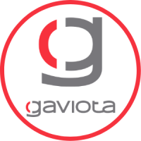 Gaviota México logo, Gaviota México contact details