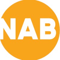 NAB Bliksembeveiliging BV logo, NAB Bliksembeveiliging BV contact details