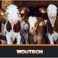 Woutech logo, Woutech contact details