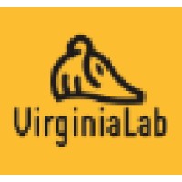 Virginia LAB S.R.L. logo, Virginia LAB S.R.L. contact details