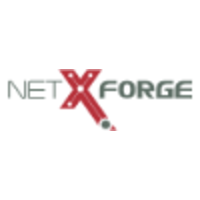 NetXForge logo, NetXForge contact details