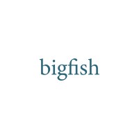 Bigfish logo, Bigfish contact details