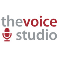 The Voice Studio (NL) logo, The Voice Studio (NL) contact details