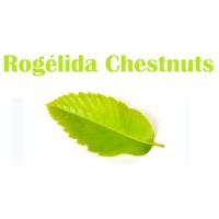 ROGELIDA CHESTNUTS S.L. logo, ROGELIDA CHESTNUTS S.L. contact details