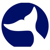 Whale Microelectronics Co., Ltd. logo, Whale Microelectronics Co., Ltd. contact details