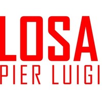 LOSA PIER LUIGI S.R.L. logo, LOSA PIER LUIGI S.R.L. contact details