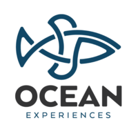 OCEAN EXPERIENCES s.p.l. logo, OCEAN EXPERIENCES s.p.l. contact details