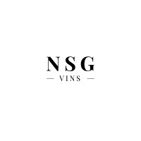 NSG VINS logo, NSG VINS contact details