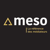 Groupe Meso logo, Groupe Meso contact details