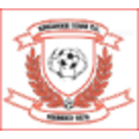 Ringwood Town FC logo, Ringwood Town FC contact details