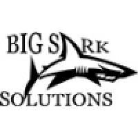 BigSark Solutions logo, BigSark Solutions contact details