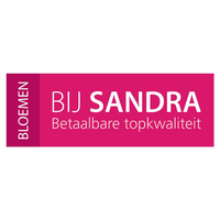 Bloemen bij Sandra logo, Bloemen bij Sandra contact details